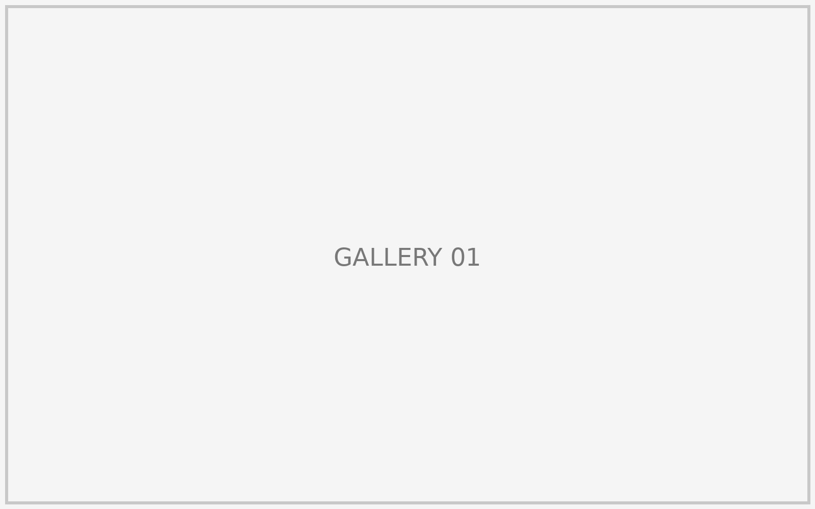 Gallery placeholder 1