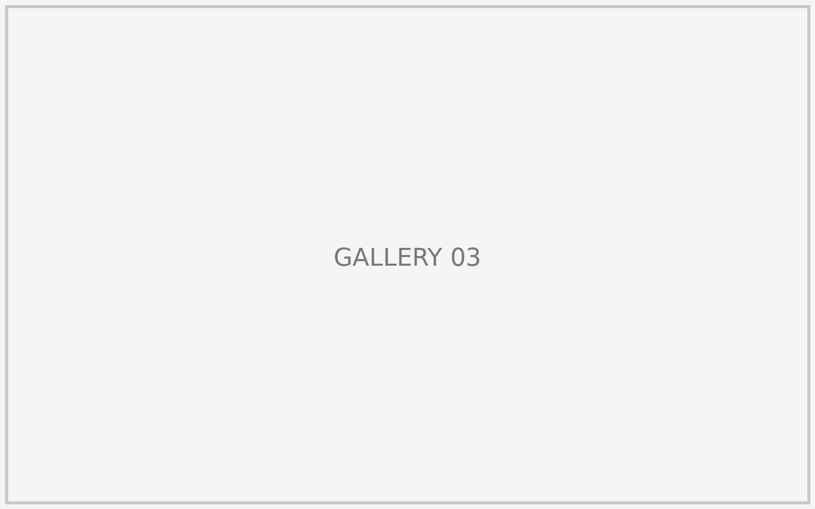 Gallery placeholder 3